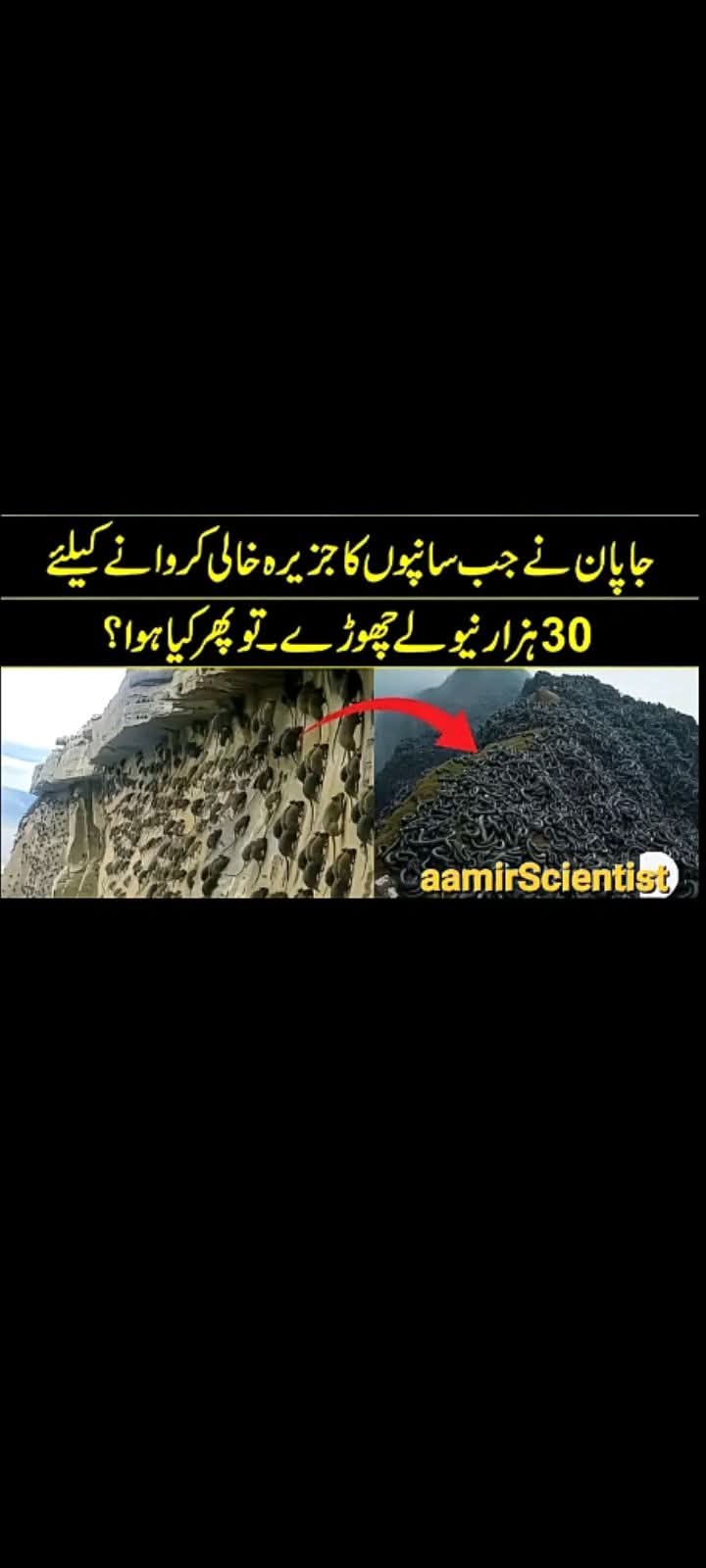 FB_IMG_1753457393617 FB_IMG_1753457393617
