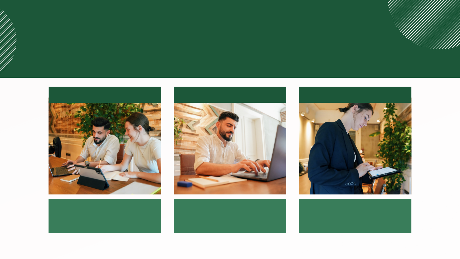 Green minimalist professional Business Proposal Presentation (2)
